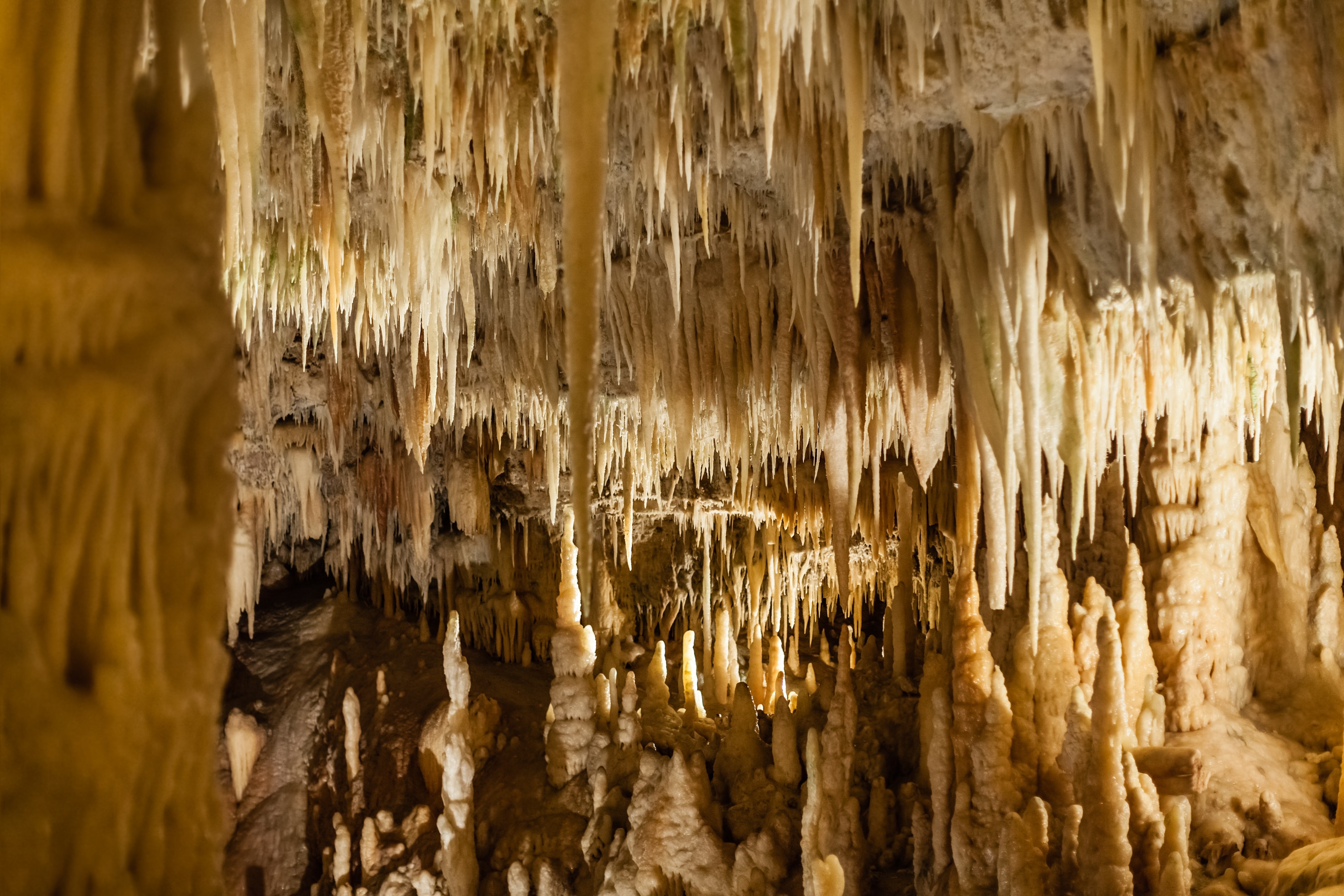 The Castellana Caves are a remarkable karst cave system located in the municipality of Castellana Grotte, Italy