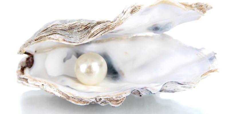 Pearl in shell