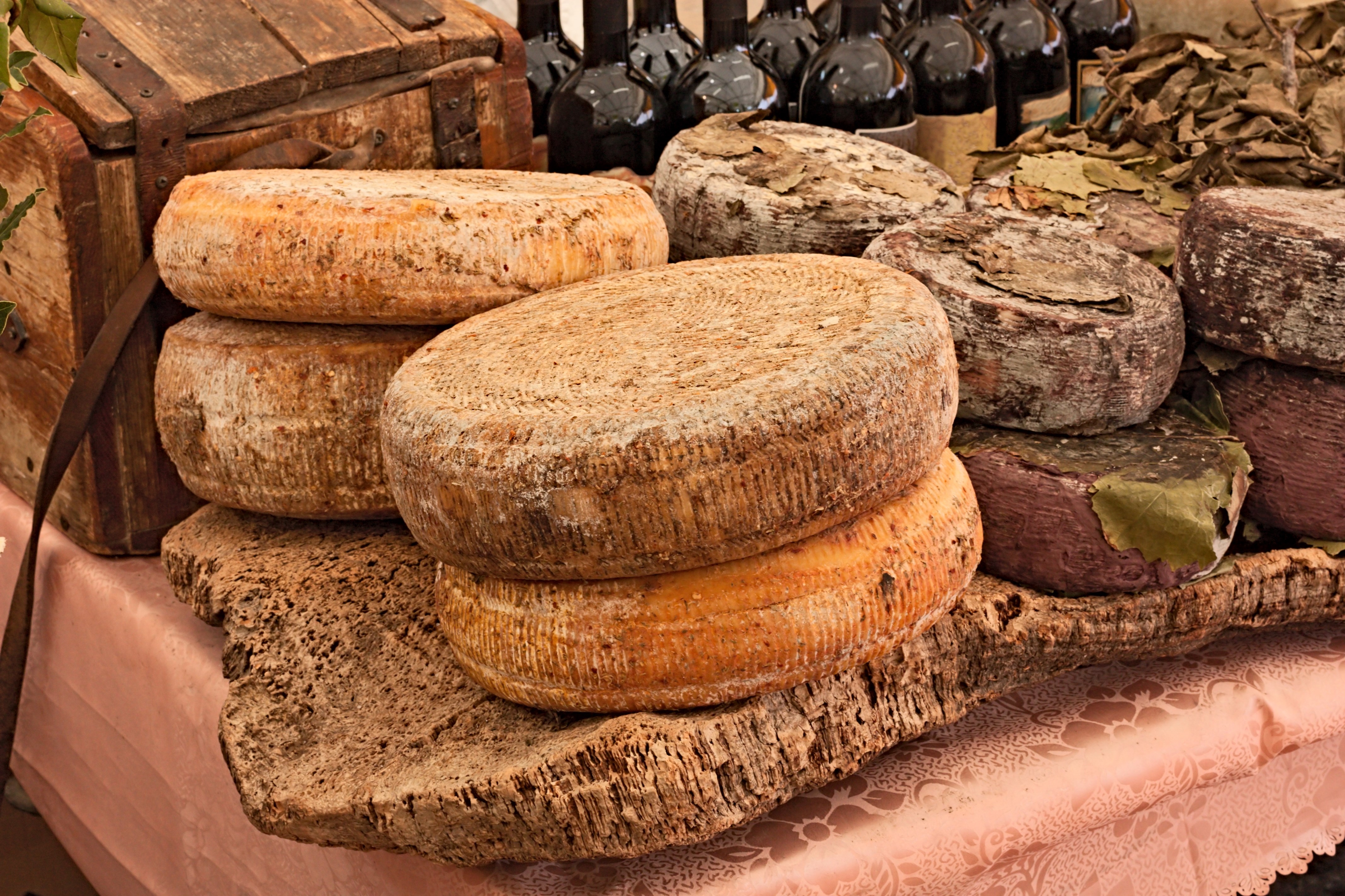 ripe sheep's milk cheese on a piece of cork and bottles of Italian wine in background - traditional artisan food product from Sardinia, Italy