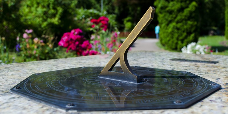 Botanic Garden Cluj