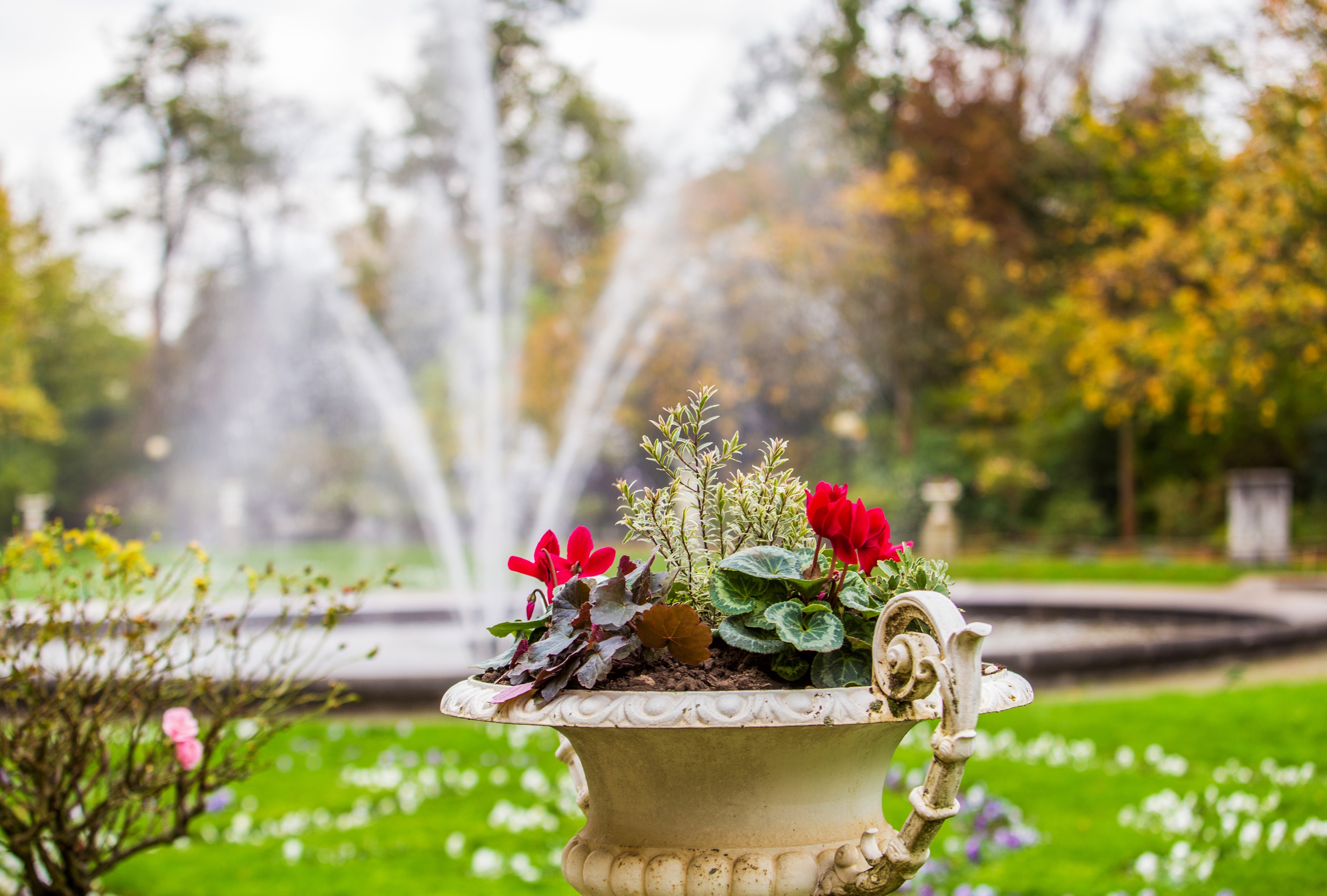 Botanical garden in Cologne