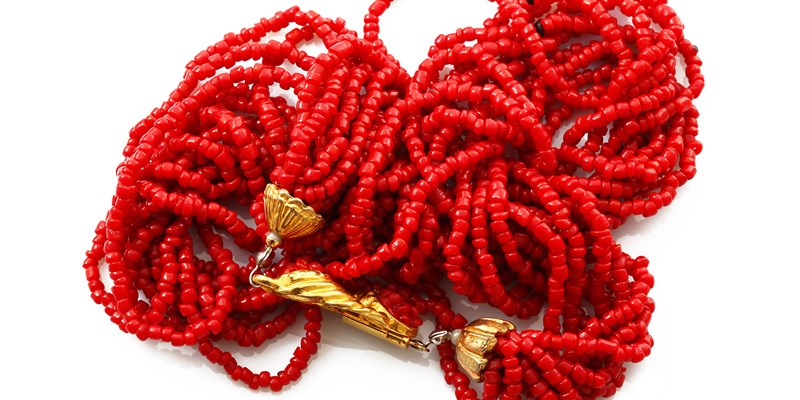 red coral Necklace on white background