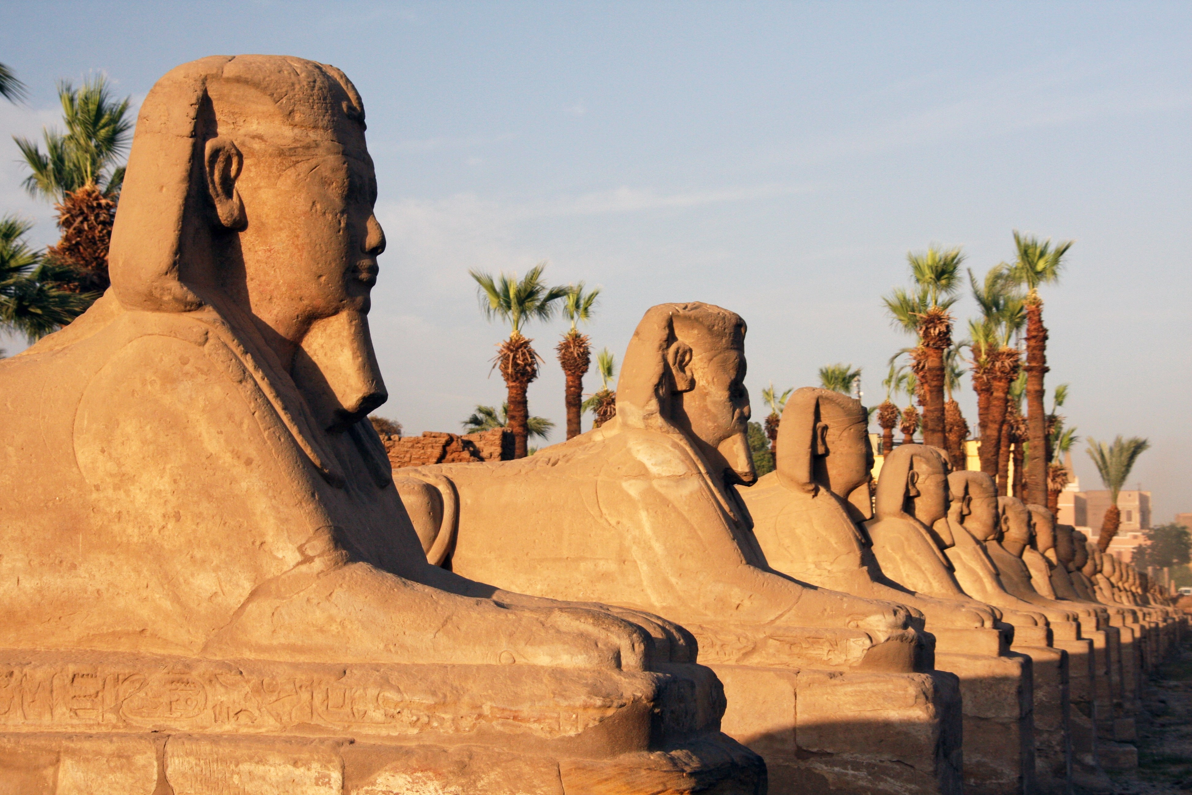 Avenue of the Chinese Headed Sphinxes at the Karnak Temple Complex on the Nile river. Luxor. Egypt.