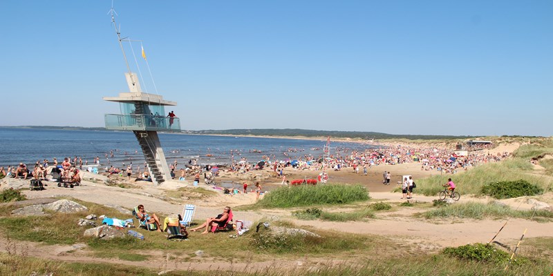 beach in Halmstad