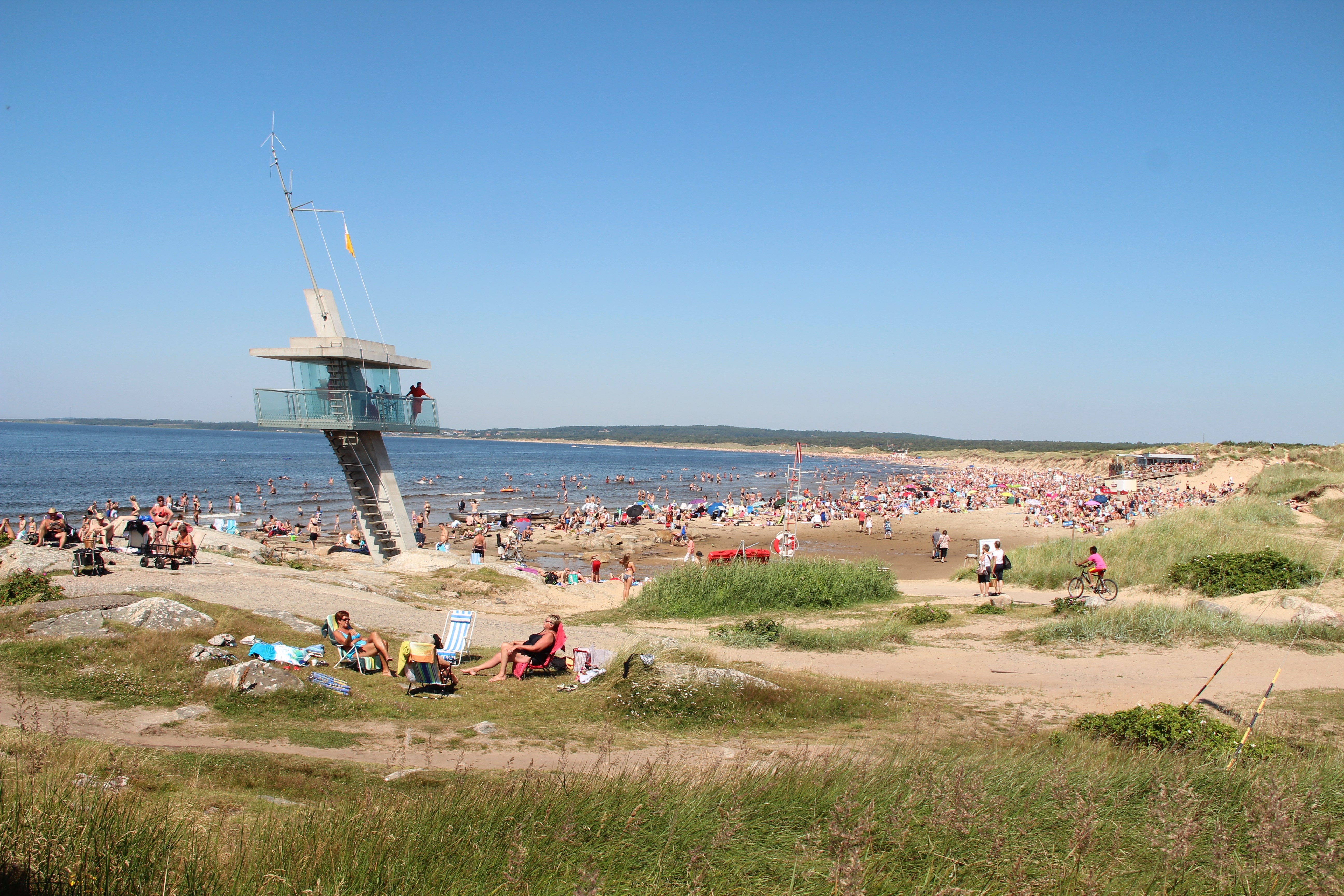 beach in Halmstad