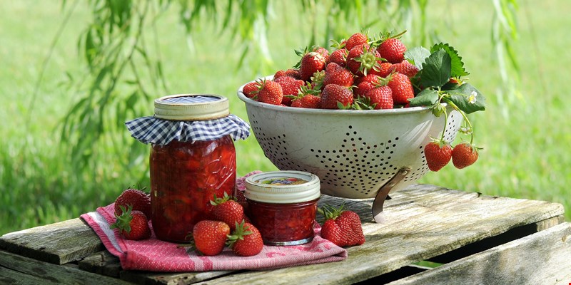 fresh strawberries and strawberry jam in a meadow under a tree
