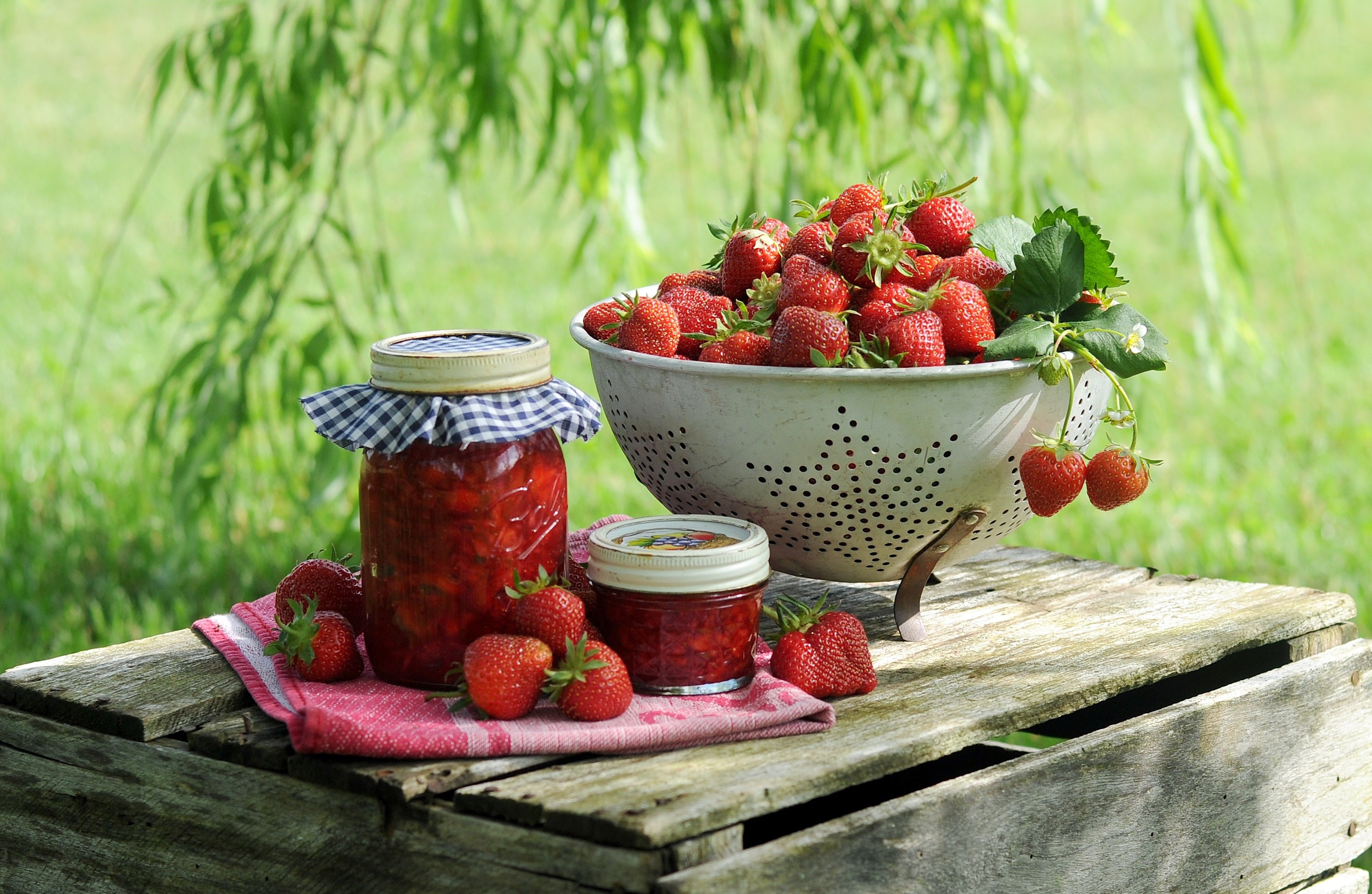 fresh strawberries and strawberry jam in a meadow under a tree