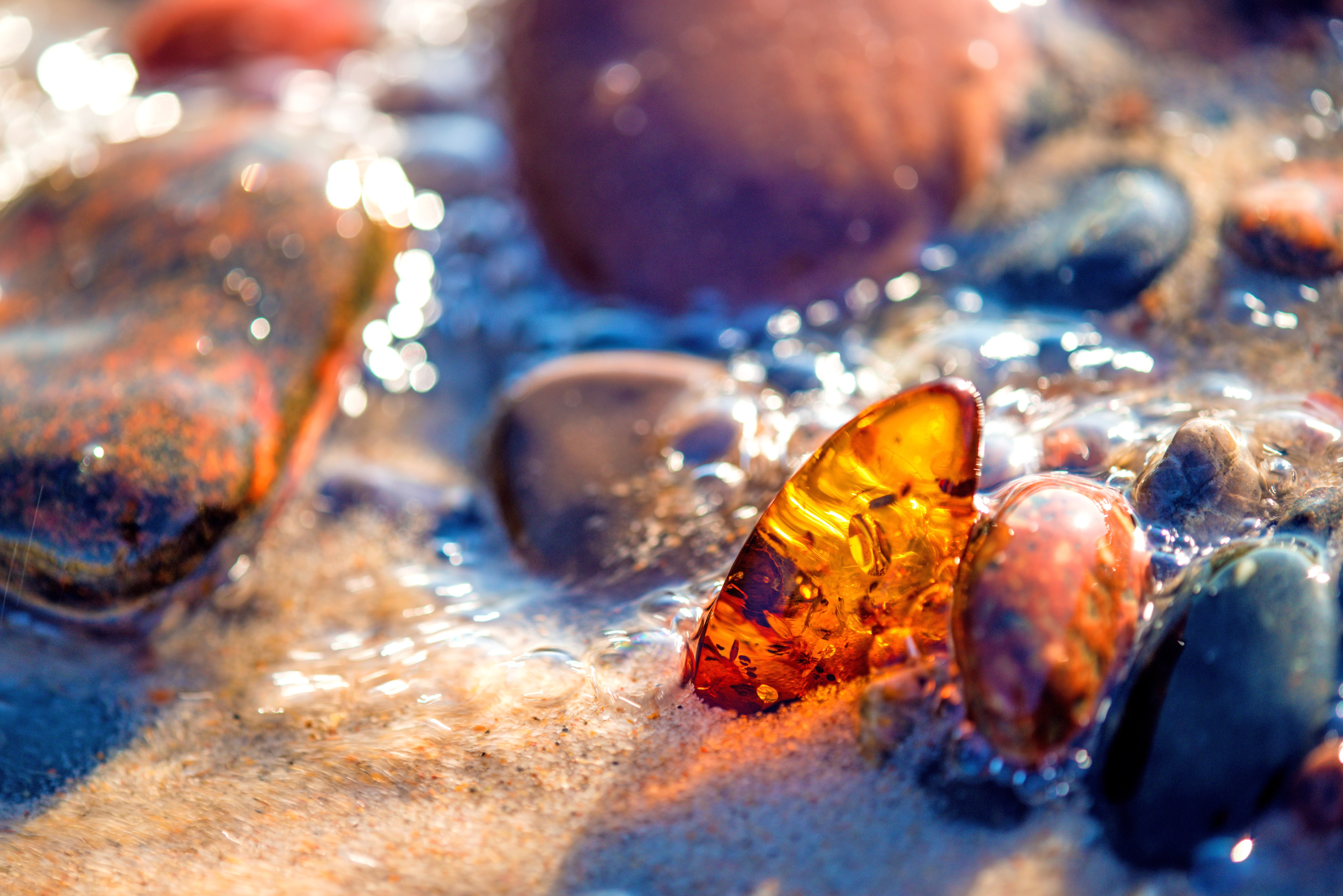 amber on shore