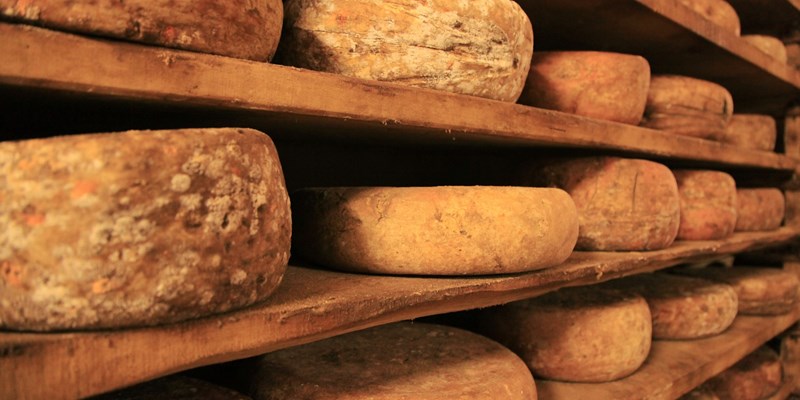 cheese