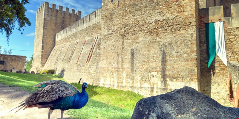 Castelo De São Jorge