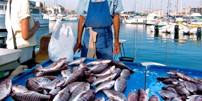 France. Marseille. Fish Market. Yachts. The seller and buyer.