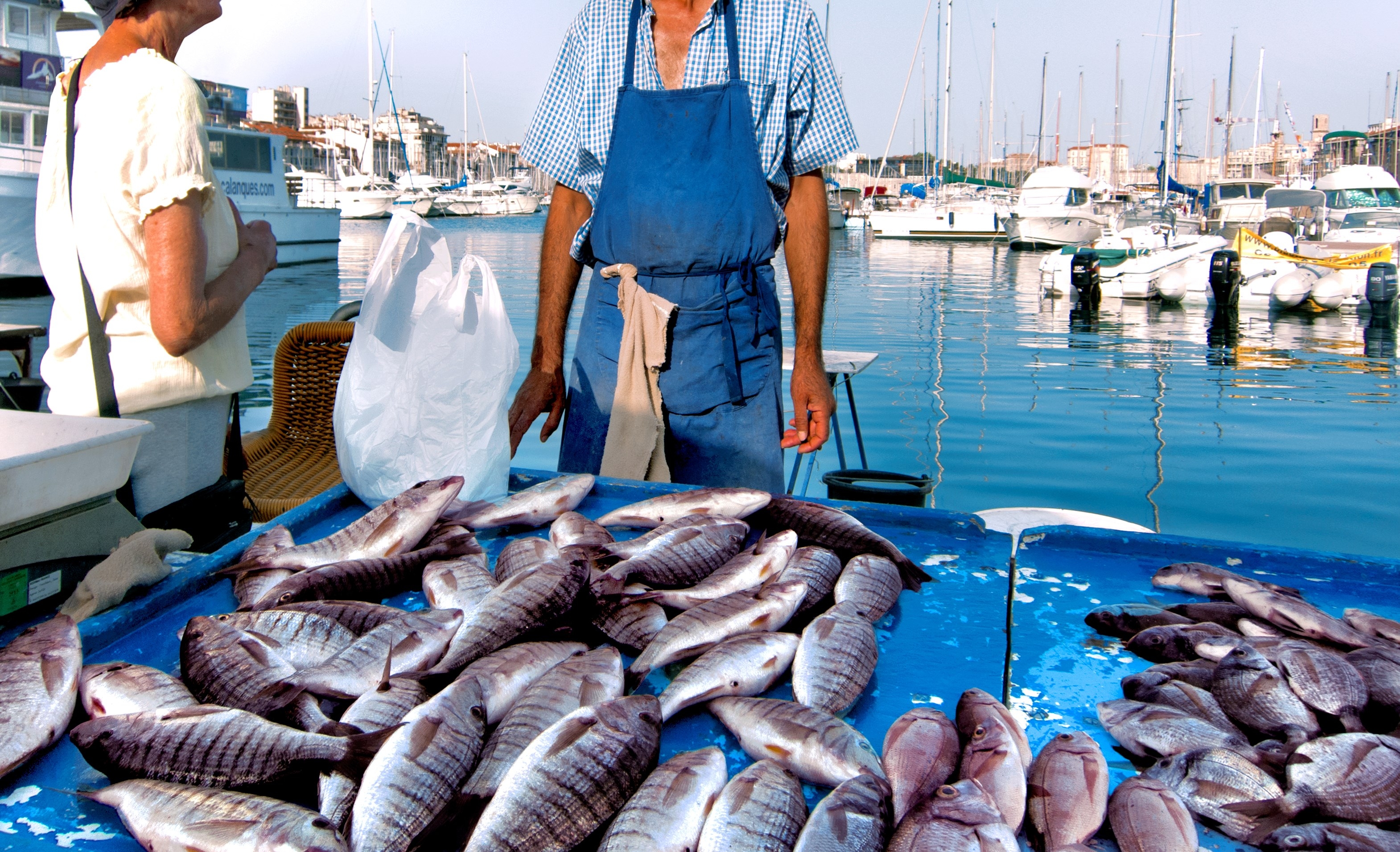 France. Marseille. Fish Market. Yachts. The seller and buyer.