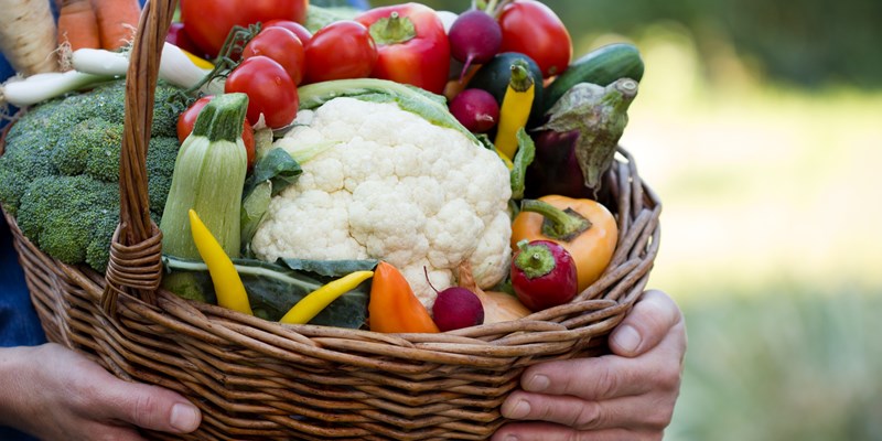 Vegetables in hands