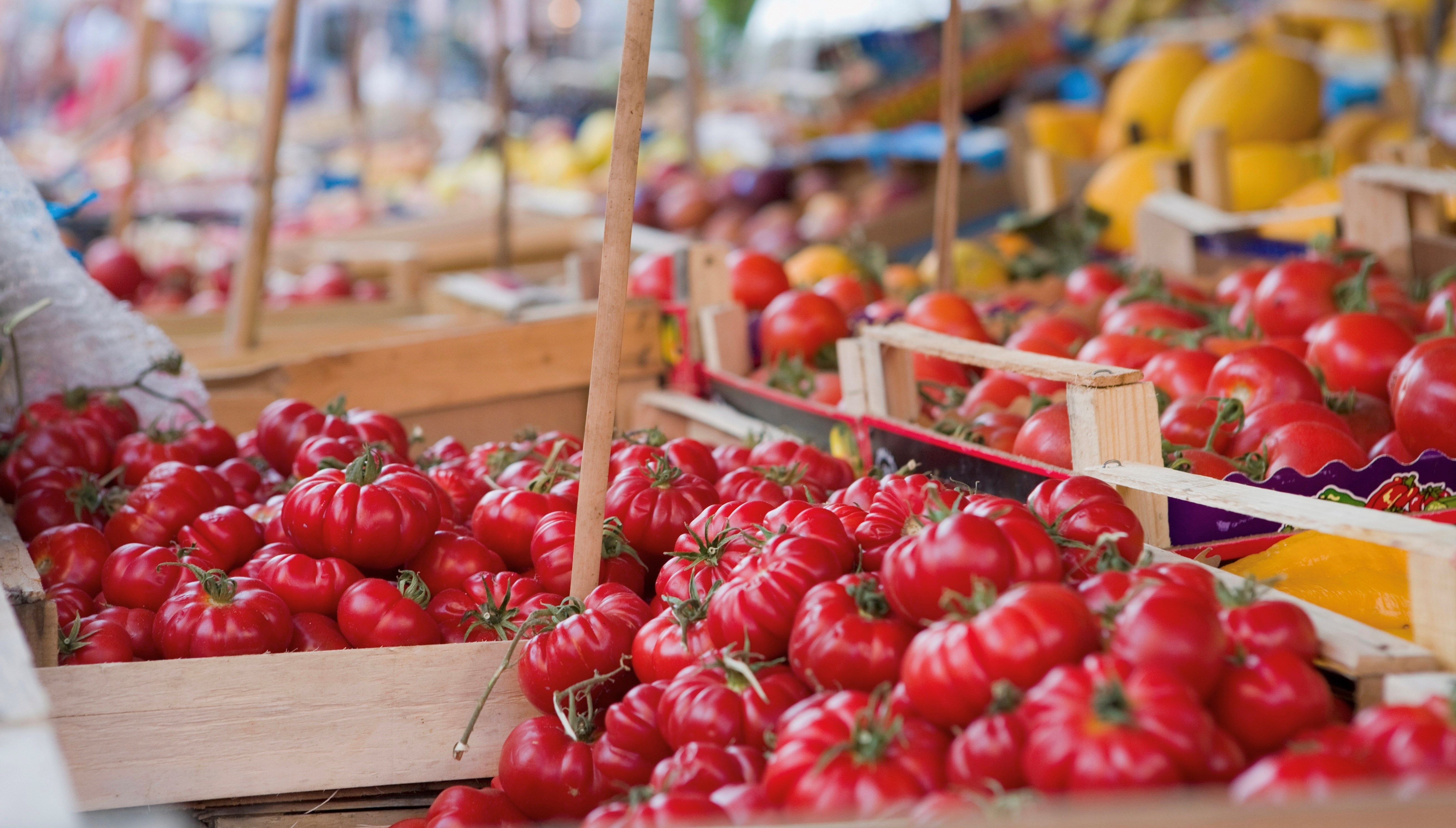 Tomatoes on street market stall in Italy