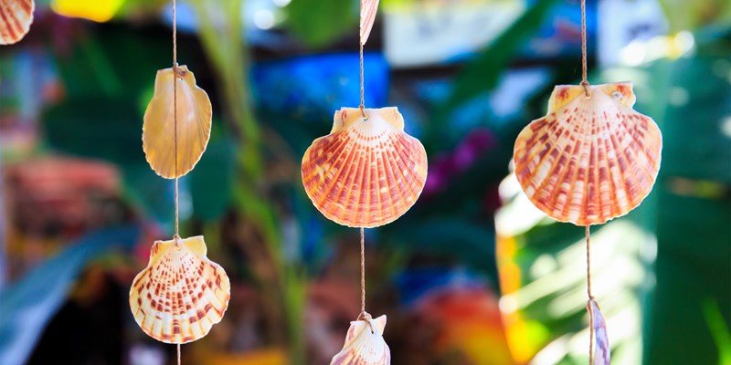 Sea shells souvenirs somewhere in Dominican Republic