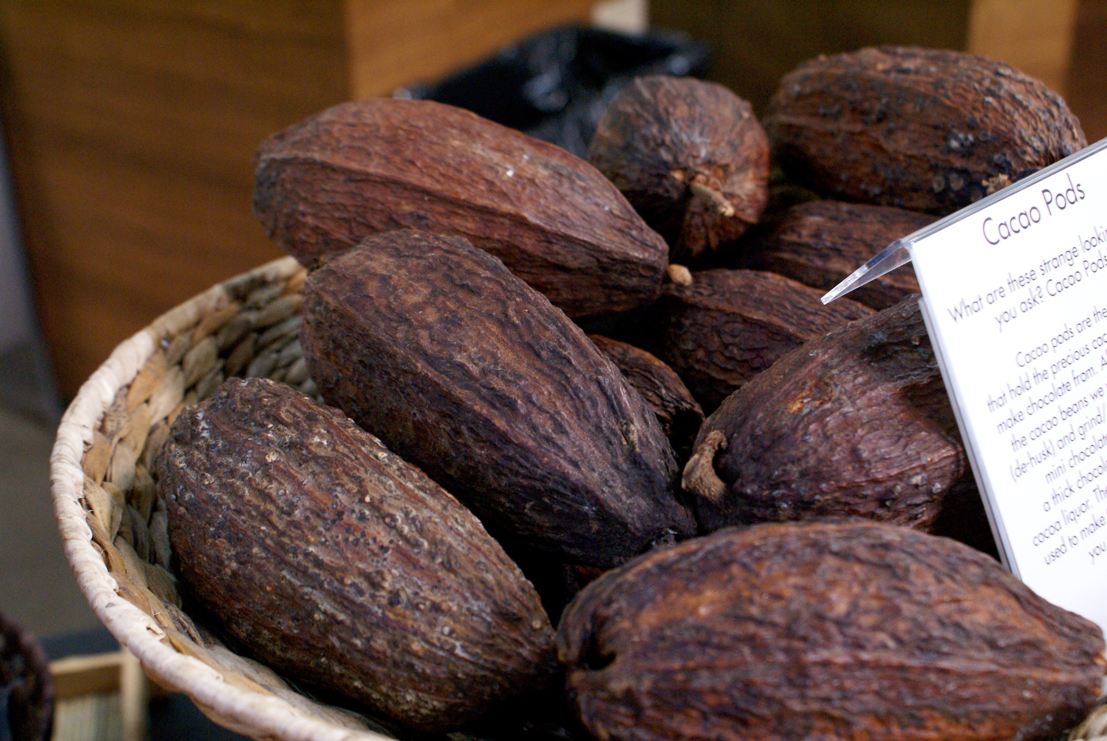 Cacao Pods