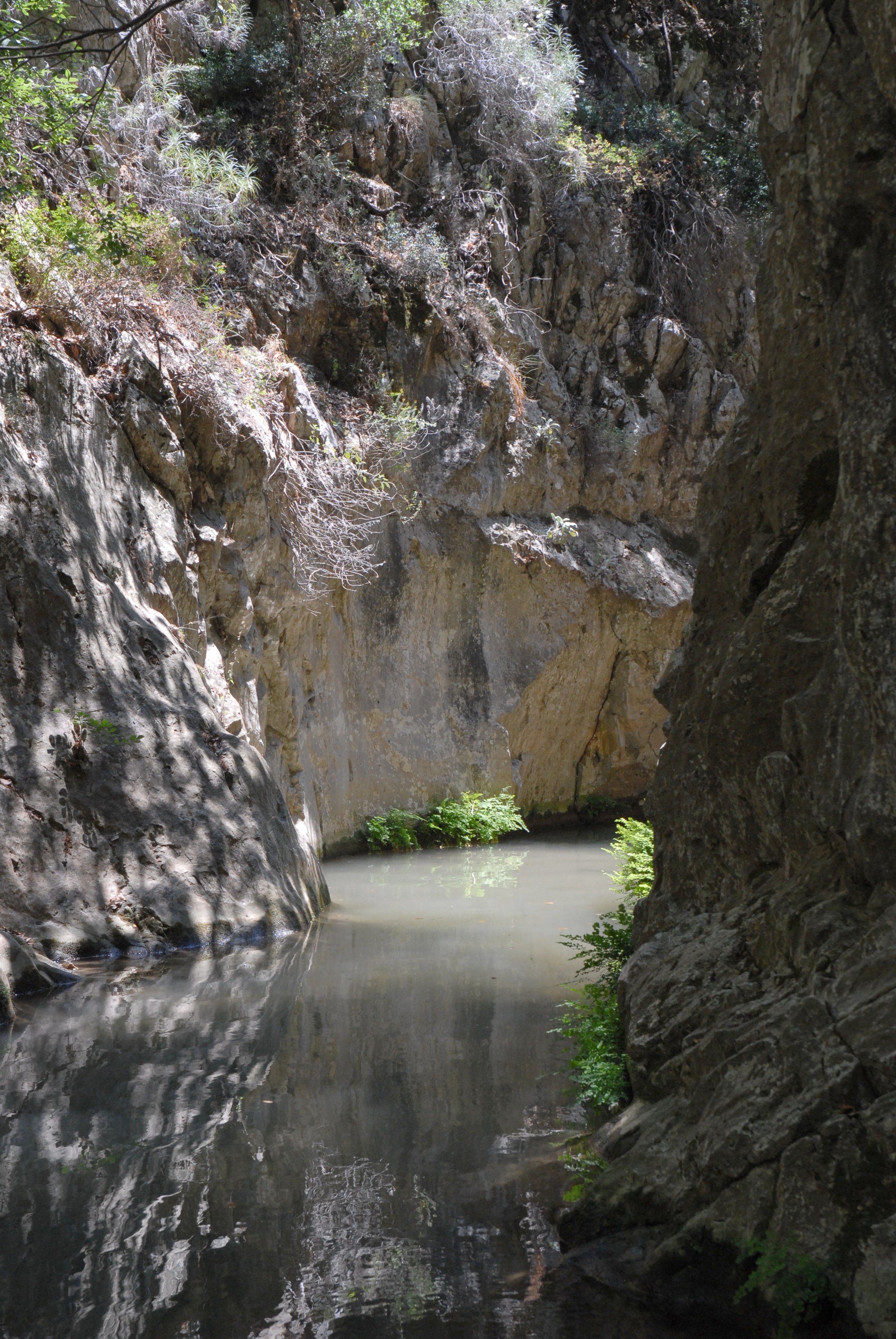 Torrente di Potami / Potami torrent