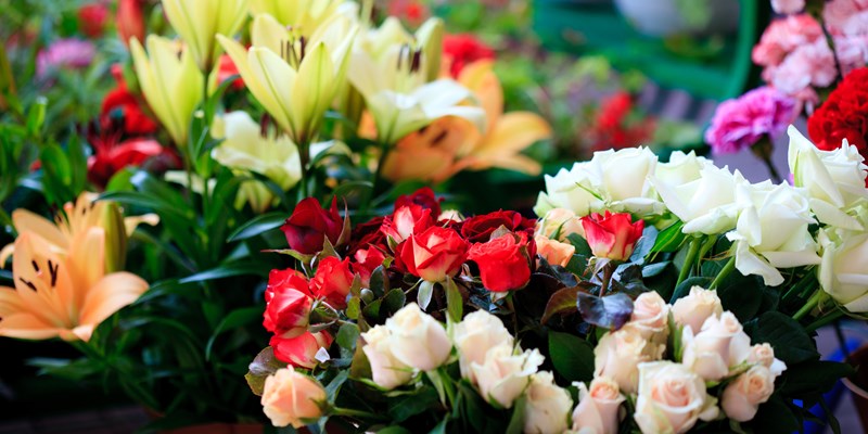 Flowers