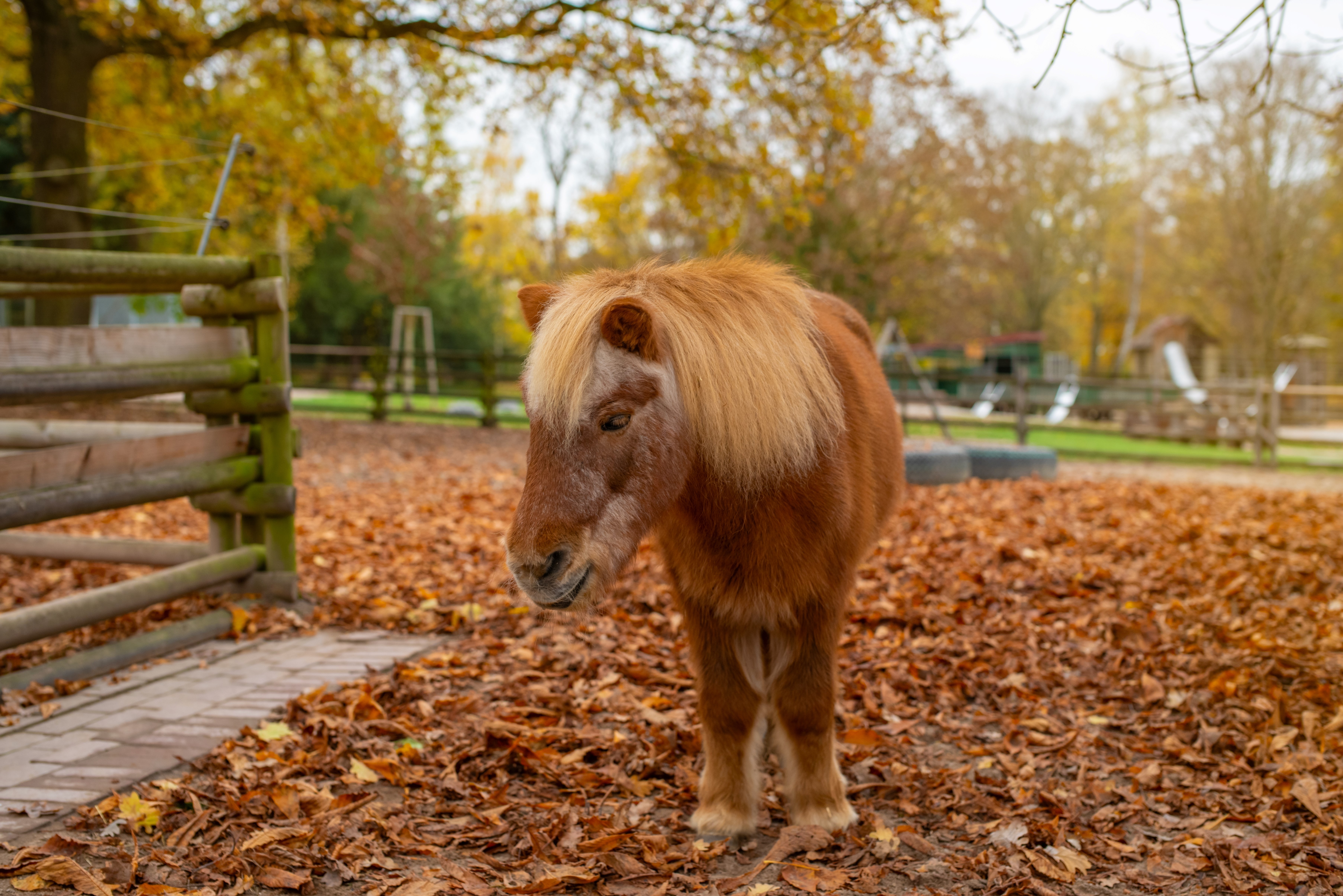 Höhenpark Killesberg