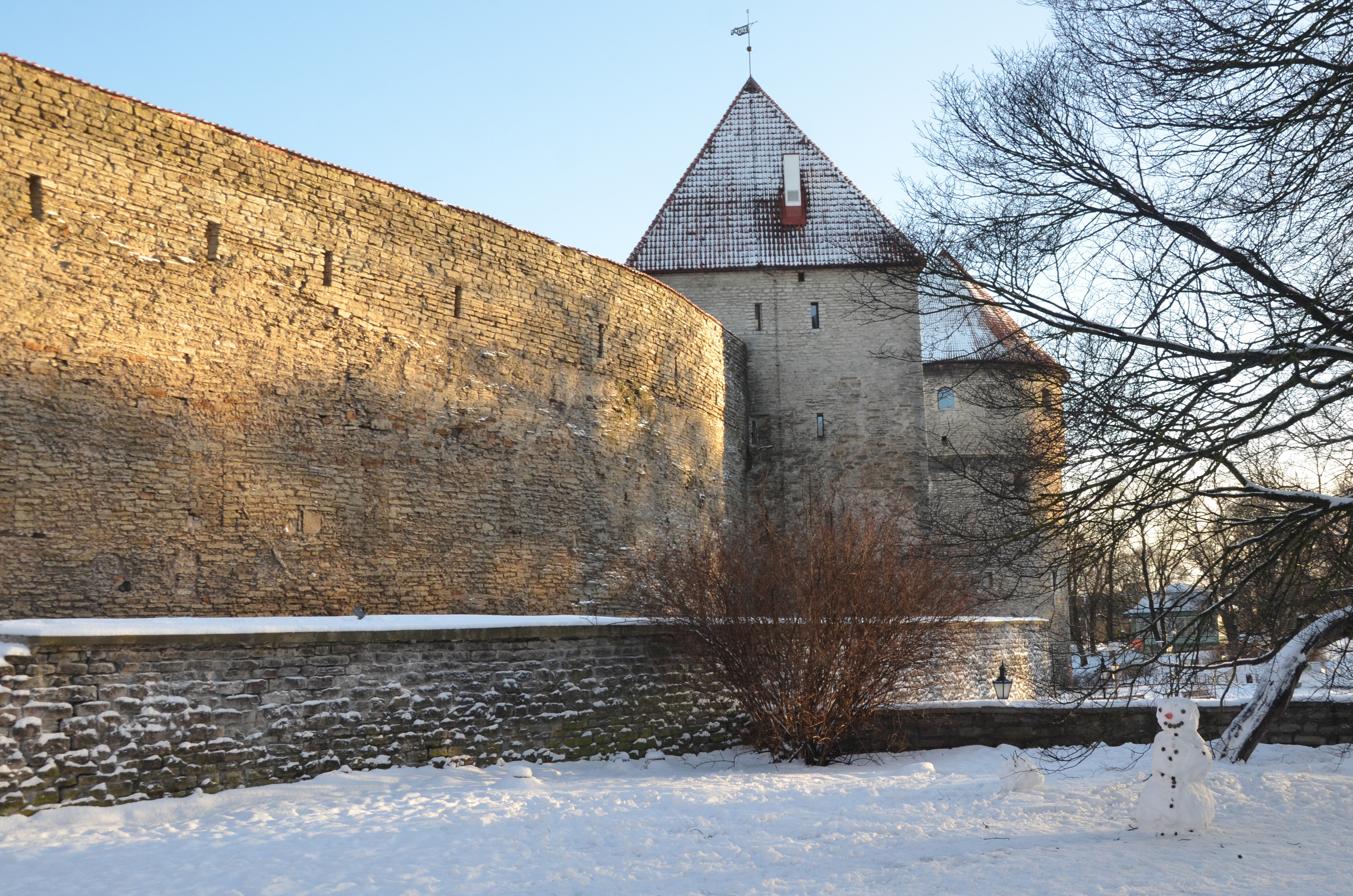 Tallinn Town Wall