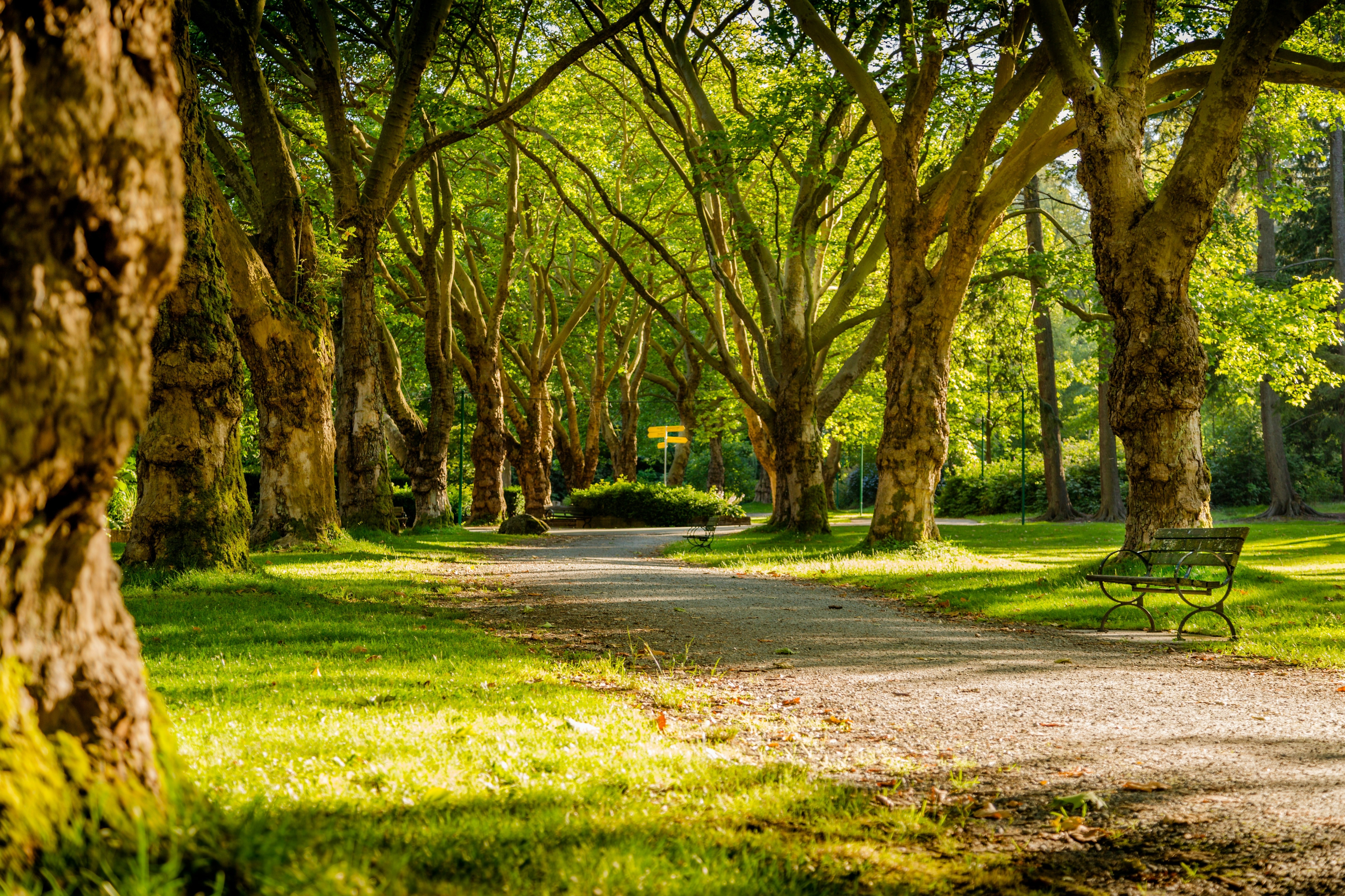 photo-of-empty-park-during-daytime