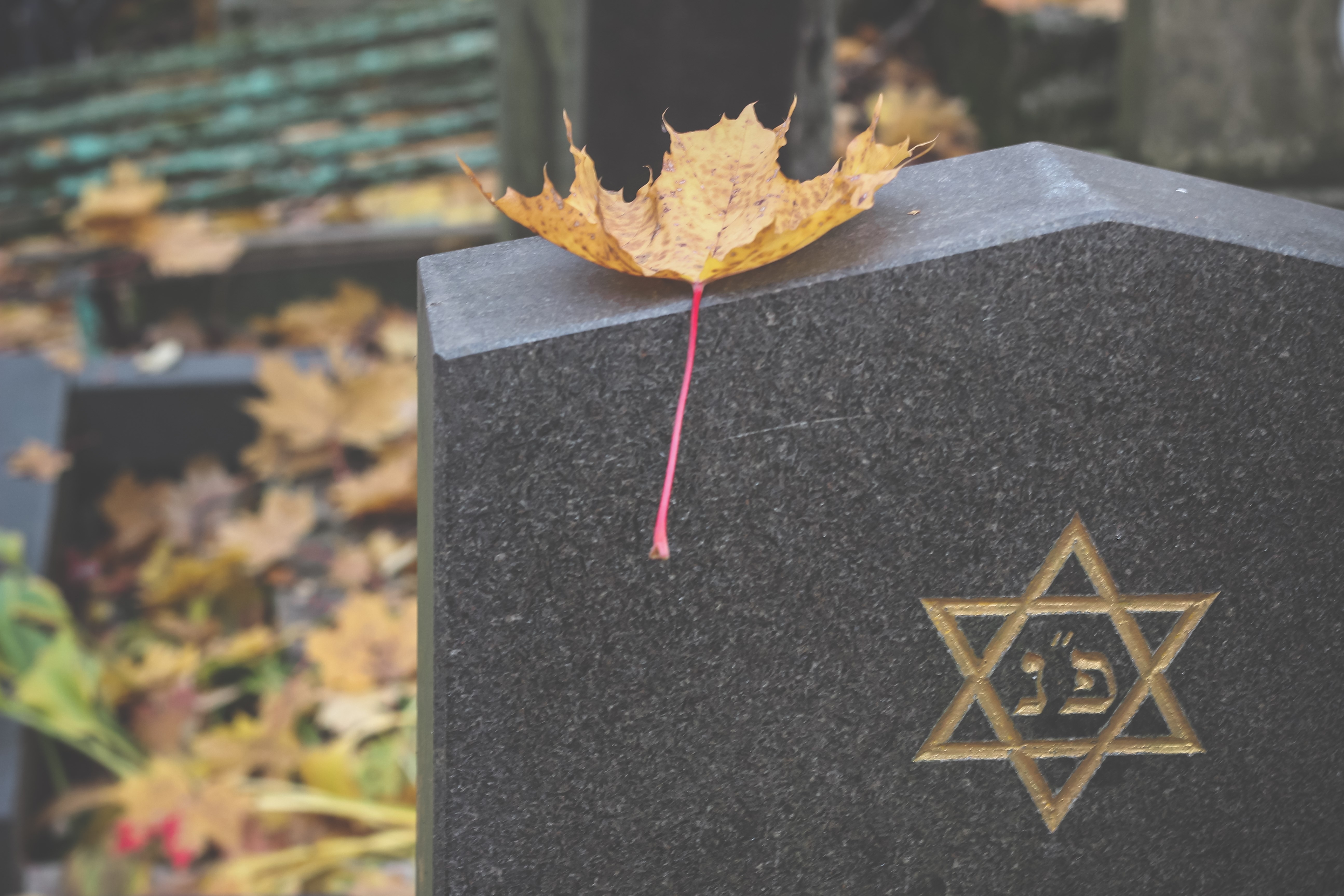 A yellow Maple Leaf is lying on gravestone with the star of David symbol. Jewish cemetery