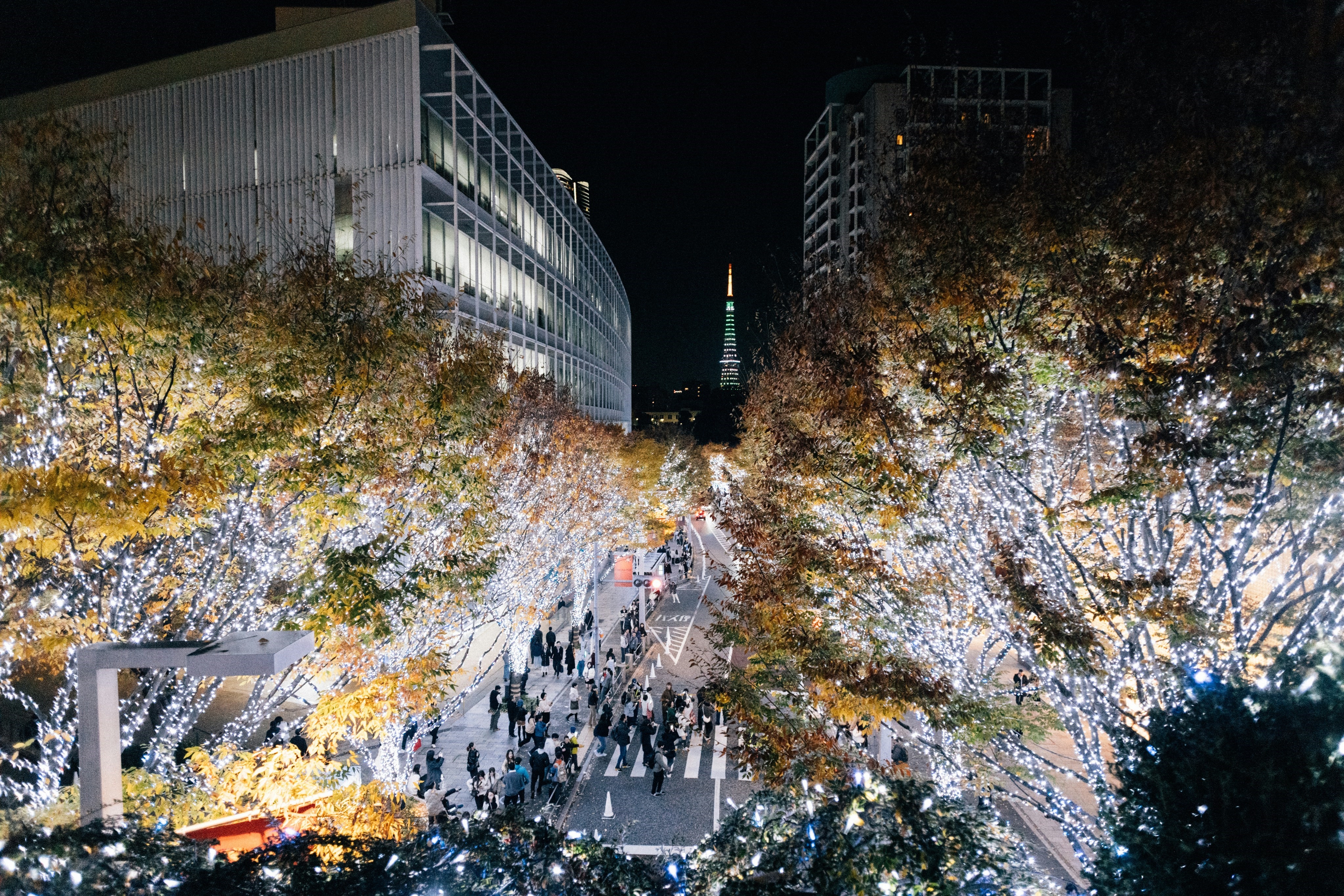 Roppongi Hills illuminated at night