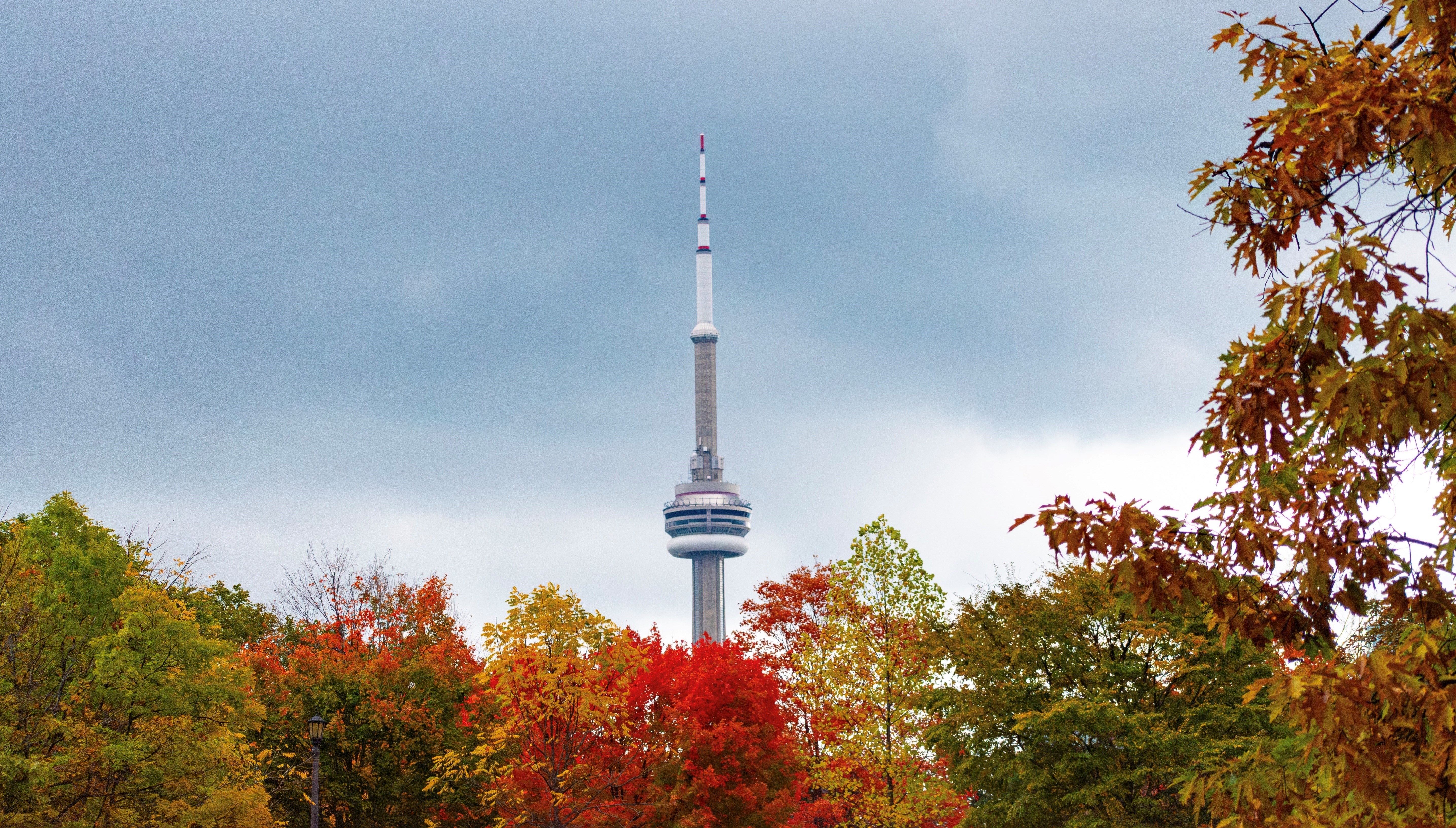 TV tower in downtown Toronto by the maple trees in fall