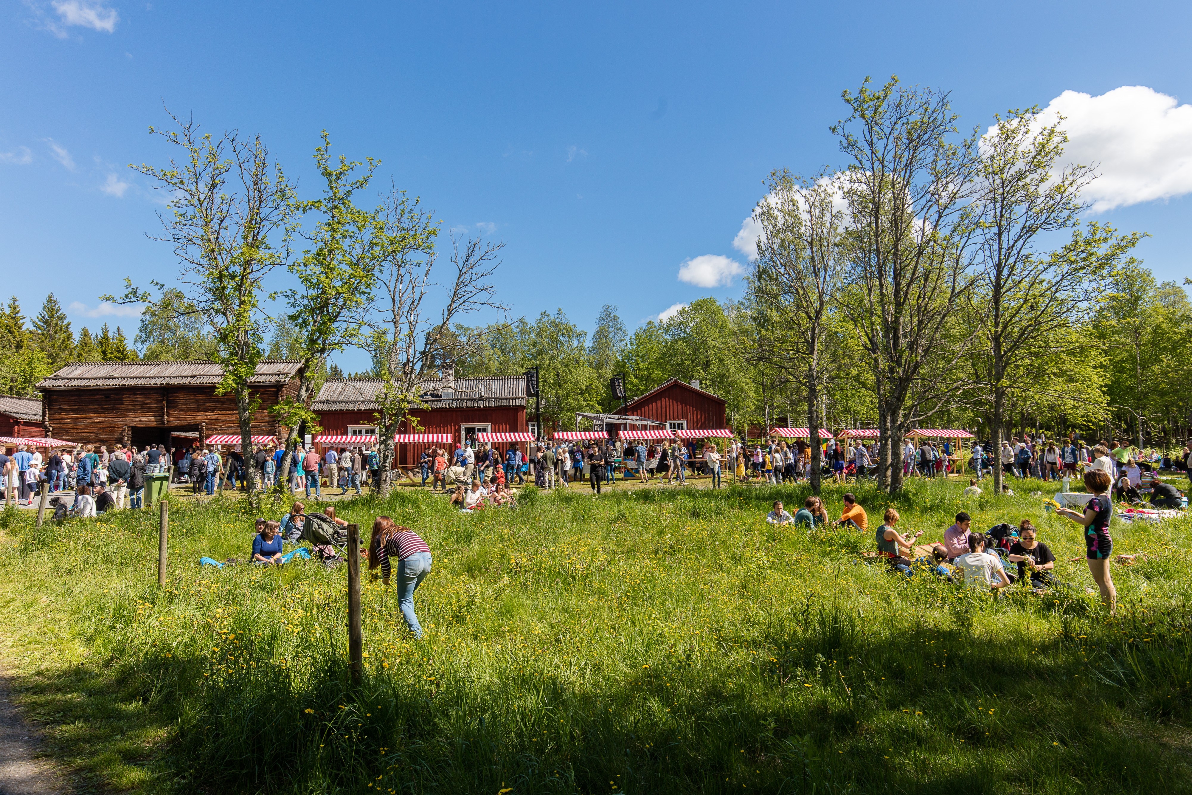 Midsummer celebration and market at Gammlia, Umeå.