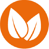 Två vita blad på orange bakgrund som symbol för vegansk mat