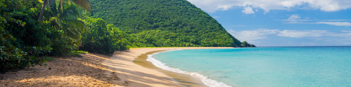 Strand Deshaies, Guadeloupe Strand Deshaies, Guadeloupe