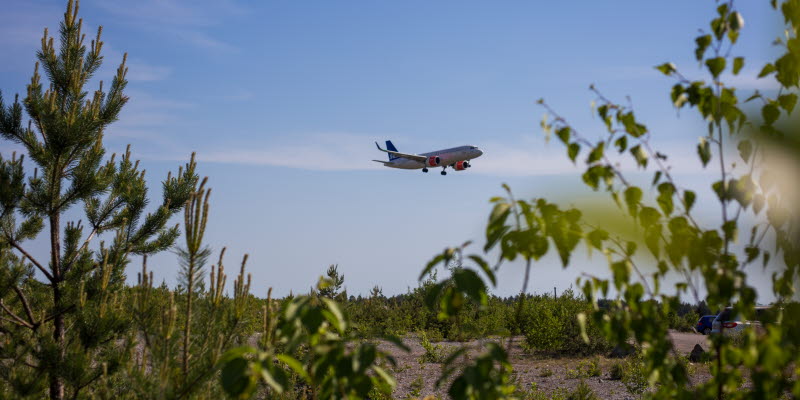 Ett flygplan mot himlen och gröna växter i förgrunden Ett flygplan mot himlen och gröna växter i förgrunden