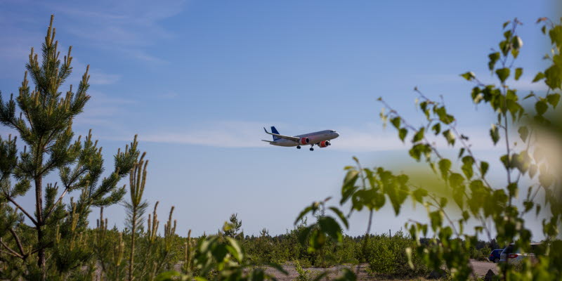 Ett flygplan mot himlen och gröna växter i förgrunden Ett flygplan mot himlen och gröna växter i förgrunden