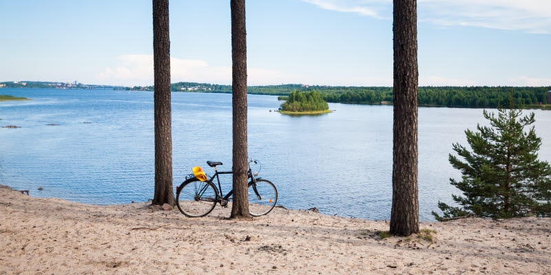 Cykel lutad mot en hög tall. En underbar utsikt över Lule älv (Luleälven / Lule) i staden Luleå, norra Sverige. Taget från Niporna. Cykel lutad mot en hög tall. En underbar utsikt över Lule älv (Luleälven / Lule) i staden Luleå, norra Sverige. Taget från Niporna.