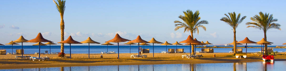 Palmer vid havet i Egypten Palmer vid havet i Egypten