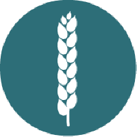 Sädesslag som en symbol för glutenfri mat
