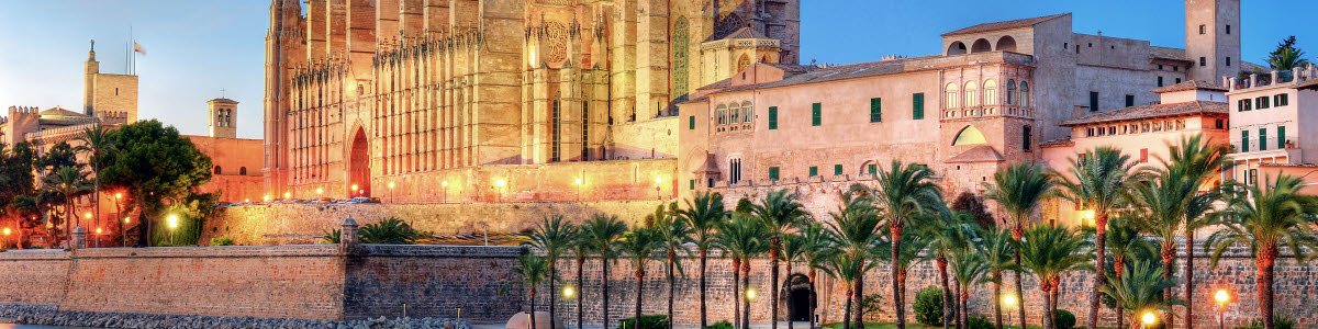 Palma Mallorca strand och palmer Palma Mallorca strand och palmer