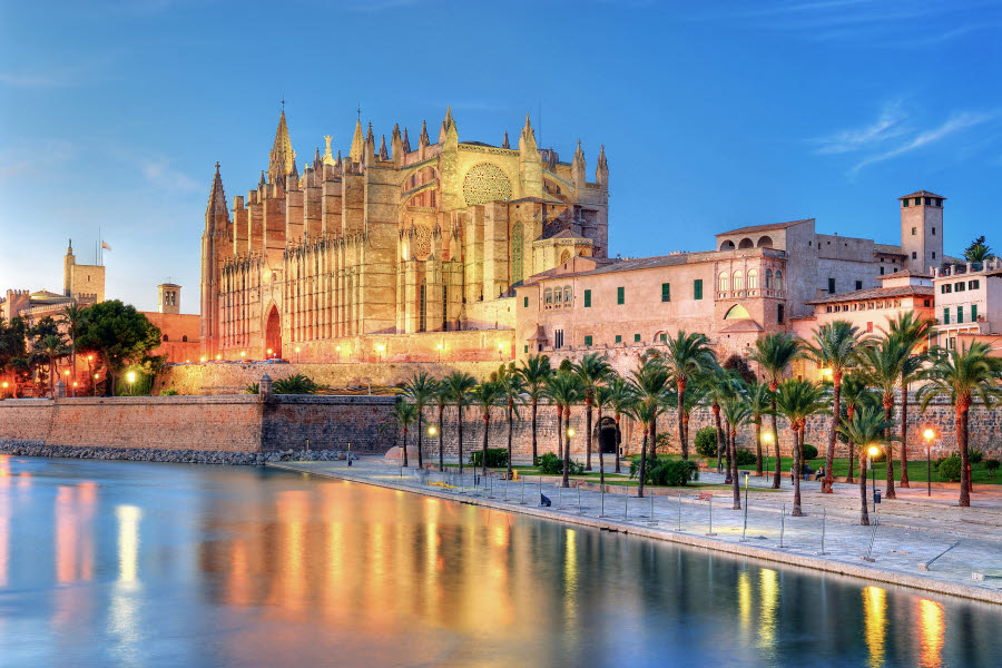 Palma Mallorca strand och palmer Palma Mallorca strand och palmer