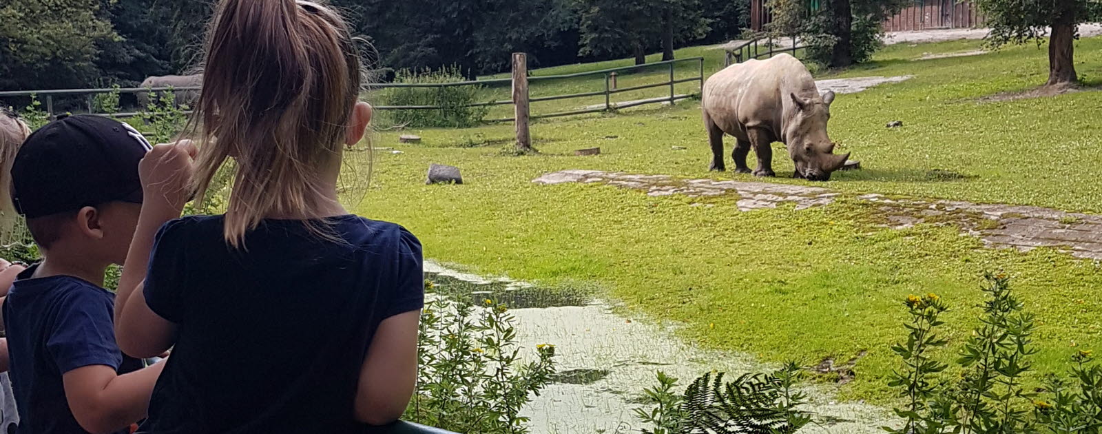 Barn på Zoo i polska staden Poznan Barn på Zoo i polska staden Poznan