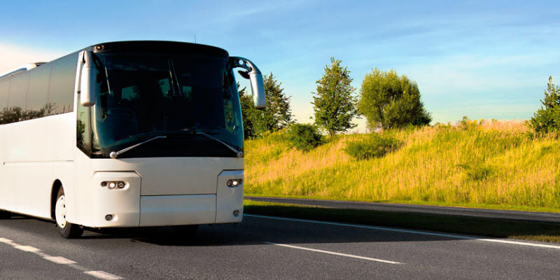 Buss och rapsfält Buss och rapsfält