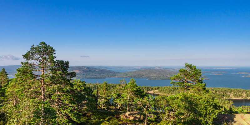 Vy över Örnsköldsvik Vy över Örnsköldsvik