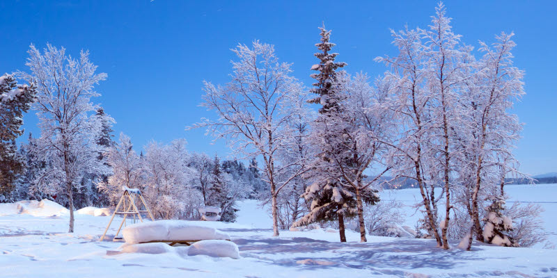 Liten stuga i skogen en vacker vinterdag i Kiruna Liten stuga i skogen en vacker vinterdag i Kiruna